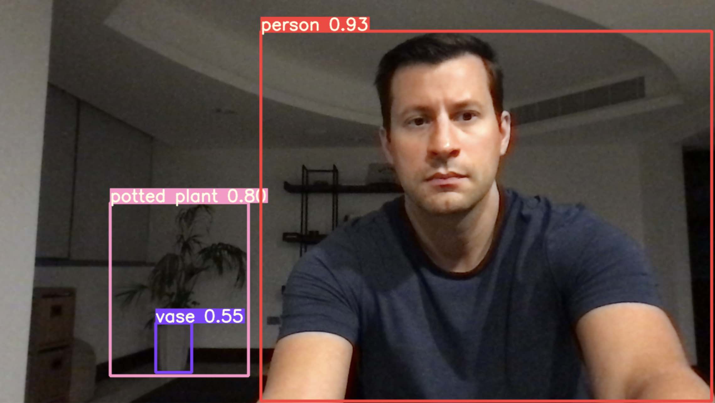 YOLO object detection example