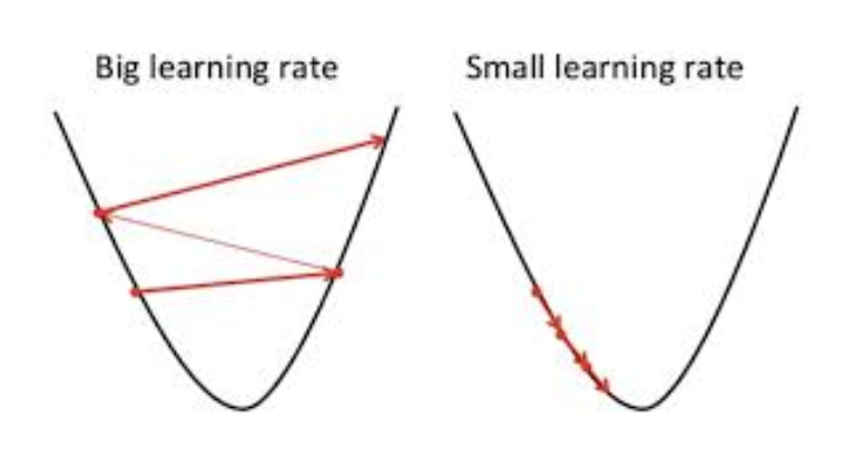 Learning rate